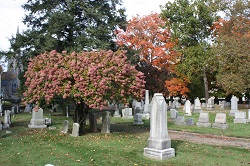 eternal-rest-cemetary-pic-web