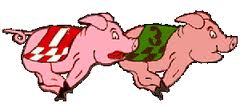 running-with-pigs-race-logo