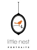 little-nest-logo-web